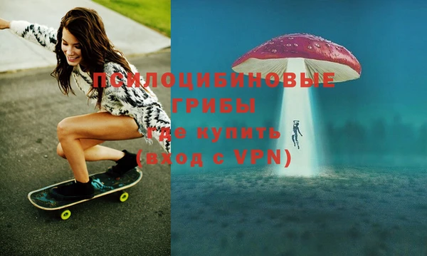 бошки Алексеевка
