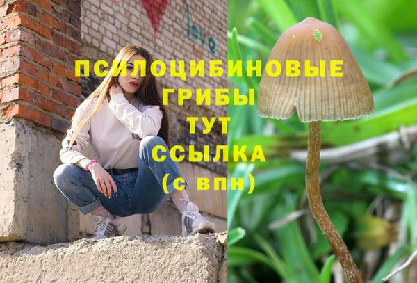 бошки Алексеевка
