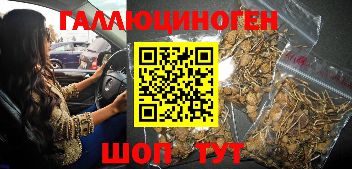 Псилоцибиновые грибы GOLDEN TEACHER Крымск