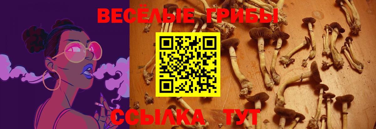 Псилоцибиновые грибы прущие грибы  Вход с VPN  Крымск  Псилоцибиновые грибы мухоморы 
