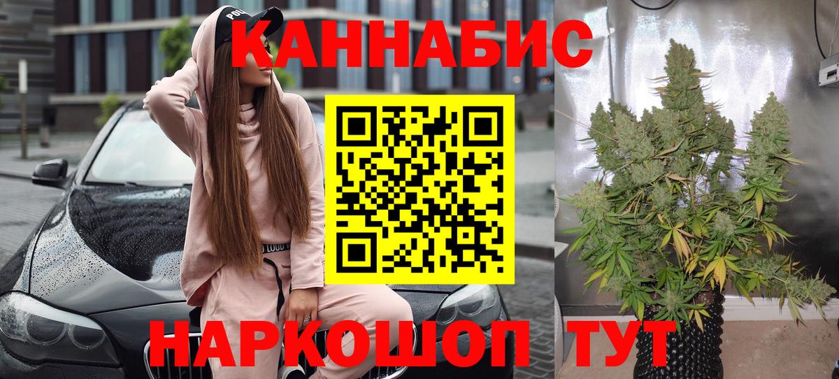 Каннабис план  Шишки марихуана Amnesia  Крымск  Бошки Шишки Amnesia  Вход с VPN 